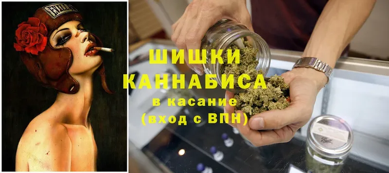 Конопля Ganja  как найти   Зеленогорск 